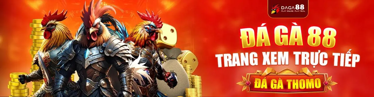 Hình ảnh đội ngũ Solarbet Khuyến Mãi chuyên nghiệp