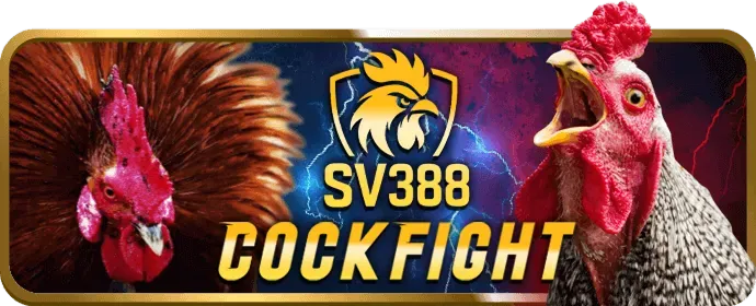 Câu hỏi thường gặp Solarbet khuyến mãi